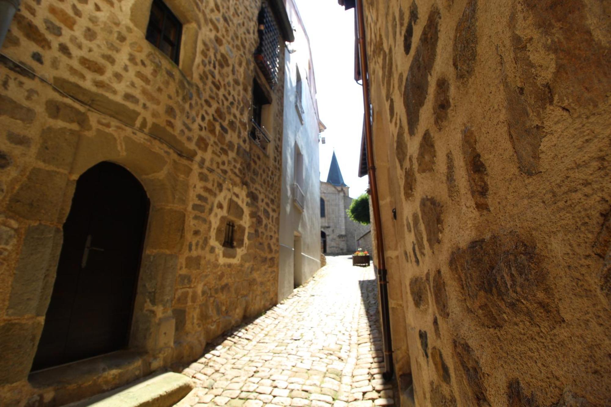 Zenlife Daire Aurec-Sur-Loire Dış mekan fotoğraf