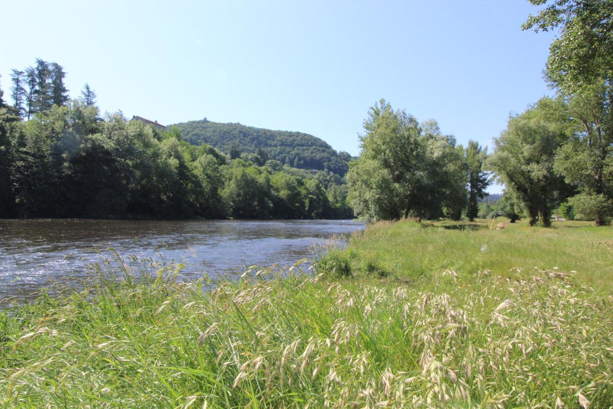 Zenlife Daire Aurec-Sur-Loire Dış mekan fotoğraf