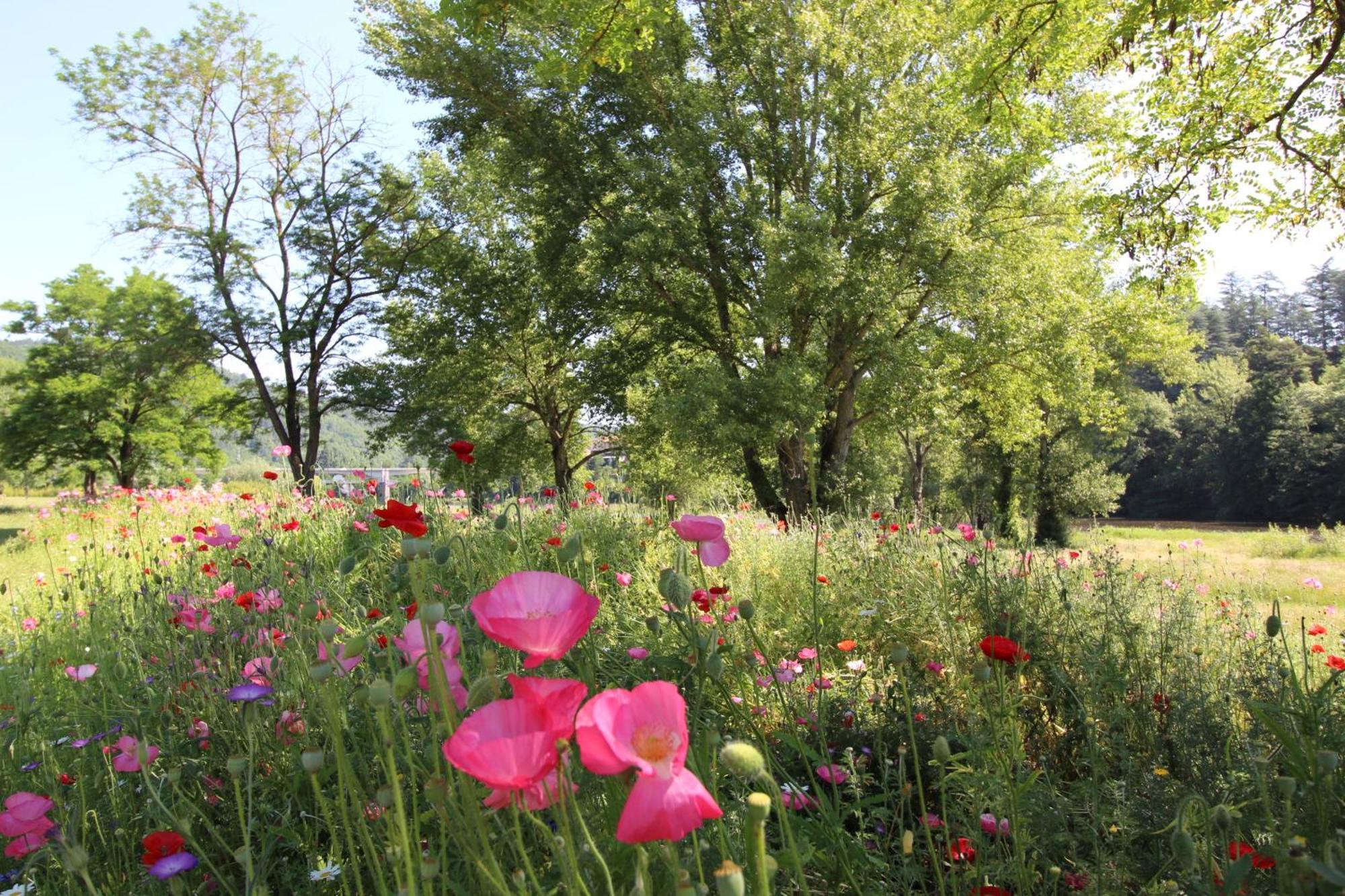 Zenlife Daire Aurec-Sur-Loire Dış mekan fotoğraf